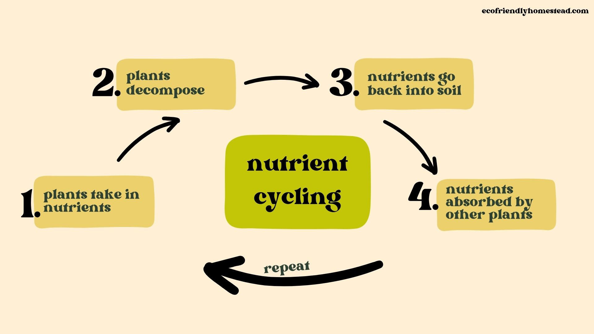 Maximize Nutrient Cycling in your garden with Regenerative Agriculture